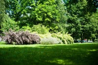 /album/fotogalerie-offentliche-anlagen1/centralais-parks-centralaisparks2daugavpils1-jpg1/